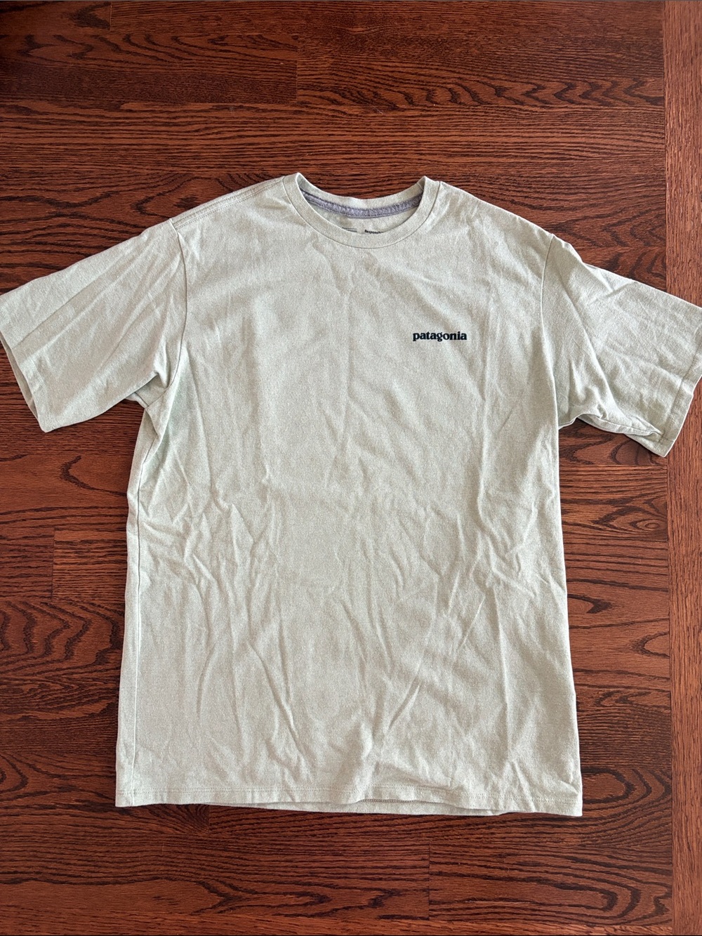 Patagonia Logo Responsibili-Tee Shirt